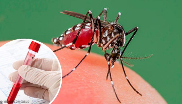 Tres casos de dengue confirmados en Salta