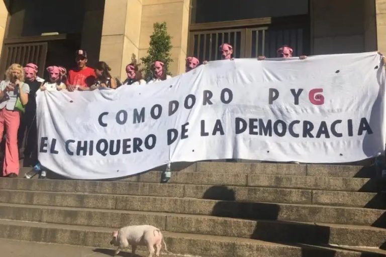 Comodoro PIG | Grabois llevó un chancho a tribunales, “el chiquero de la democracia”