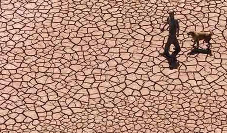 Con sequía y sin agua potable | Desde el Chaco Salteño denuncian la falta de apoyo estatal