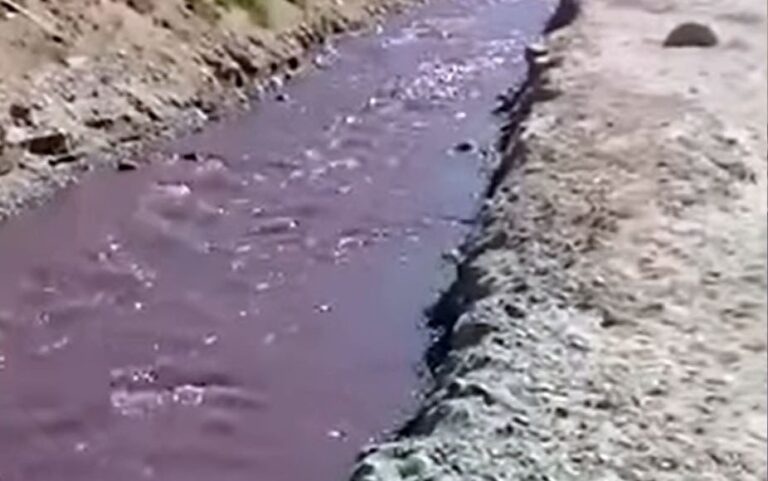 Cafayate | Piden informes por posible contaminación del río