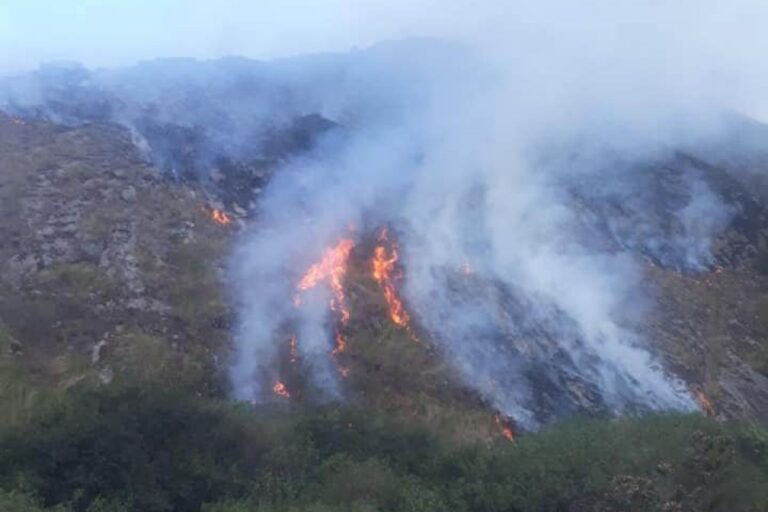 Entre junio y septiembre | Salta perdió 13.400 hectáreas a causa de incendios forestales o de pastizales