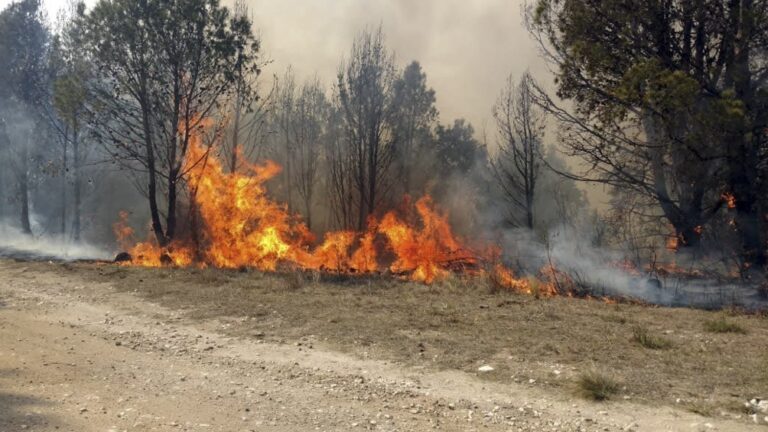 Salta está entre las provincias en alerta por incendios forestales
