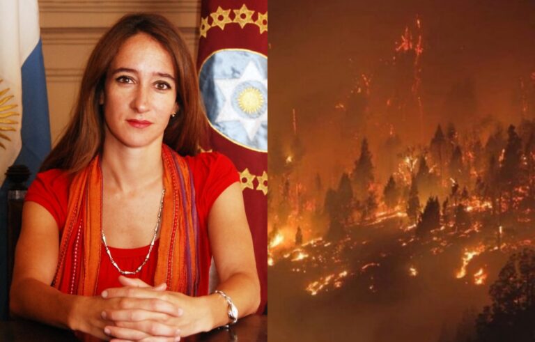 Incendios Forestales: una mirada salteña | “Están vinculados con las actividades extractivistas”