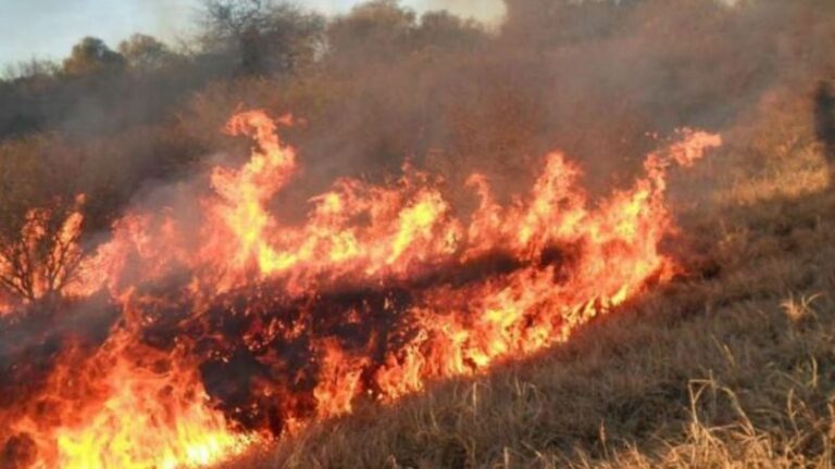 Incendios forestales | Salta es una de las dos provincias que permanecen con focos activos