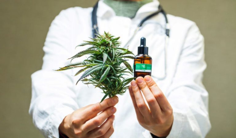Salud de la Nación creó la categoría de productos vegetales a base de cannabis para uso en medicina humana
