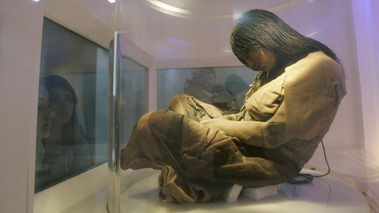 Cinco siglos igual | Funcionario salteño dijo que la restitución de los niños de Llullaillaco a su tumba original no es posible
