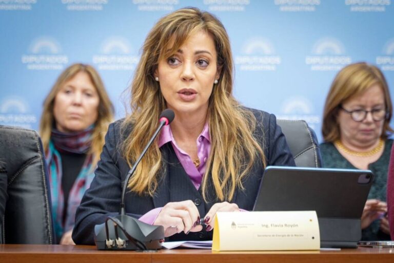 Para que los argentinos no caigan en la «pobreza energética» | La salteña Royón le pidió «gradualismo» a Milei